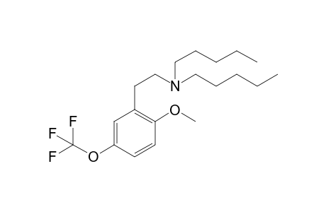 5TF-2C-H 2PE