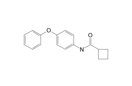 Cyclobutylcarboxamide, N-(4-phenoxyphenyl)-