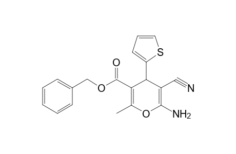 4H-Pyrane-3-carboxylic acid, 6-amino-5-cyano-2-methyl-4-(2-thienyl)-, benzyl ester