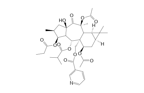 Premyrsinol-3-propanoate-5-isobutyrate - 7,13-Diacetate - 17-Nicotinate