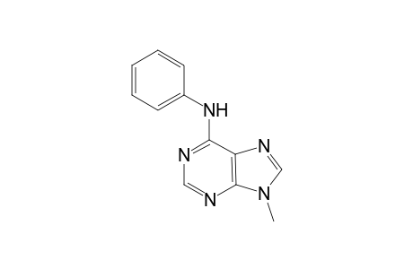 9-Methyl-N-phenyl-9H-purin-6-amine