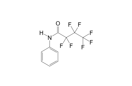 2,2,3,3,4,4,4-heptafluoro-N-phenylbutanamide