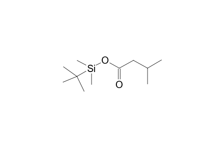 tert-Butyl(dimethyl)silyl 3-methylbutanoate