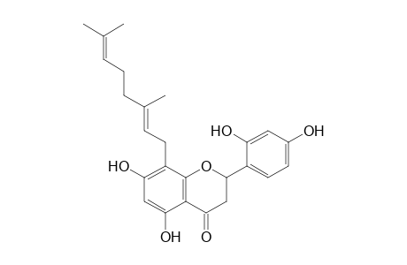 2-(2,4-dihydroxyphenyl)-8-[(2E)-3,7-dimethylocta-2,6-dienyl]-5,7-dihydroxy-2,3-dihydrochromen-4-one