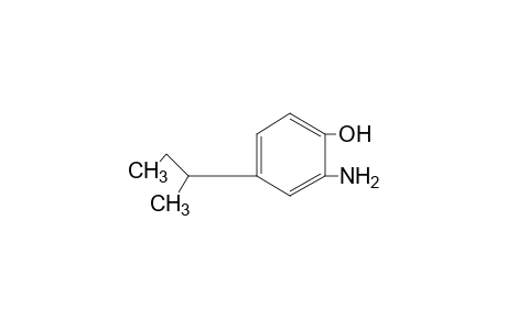2-amino-4-sec-butylphenol