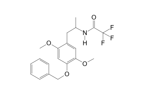 MBNM TFA