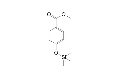 Methylparaben TMS