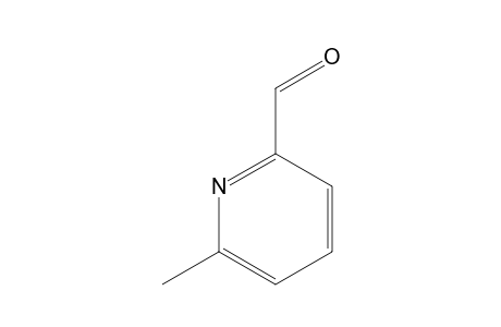 6-methylpicolinaldehyde