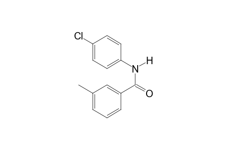 4'-chloro-m-toluaniline