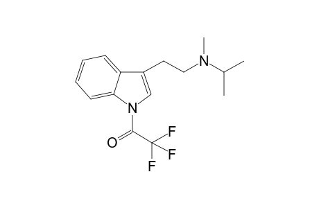 MiPT TFA