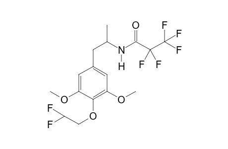 3C-DFE PFP