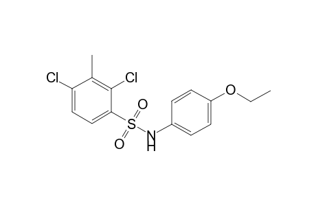 2,4-Dichloro-N-(4-ethoxy-phenyl)-3-methyl-benzenesulfonamide