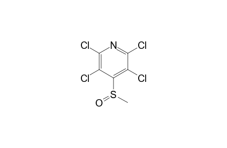 Methyl-(2,3,5,6-tetrachloropyridin-4-yl)sulfoxide