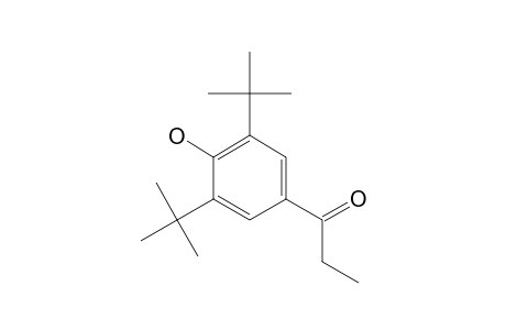 3',5'-Di-tert-butyl-4'-hydroxy-propiophenone