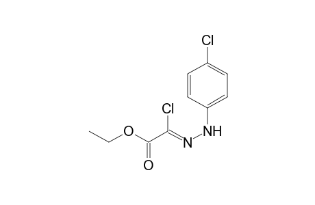 chloroglyoxylic acid, ethyl ester, p-chlorophenyhydrazone