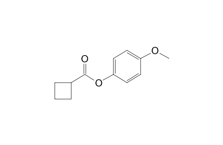 Cyclobutanecarboxylic acid, 4-methoxyphenyl ester