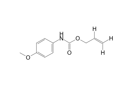 p-methoxycarbanilic acid, allyl ester