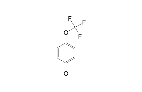 4-(Trifluoromethoxy)phenol