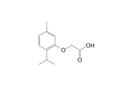 (Thymyloxy)acetic acid