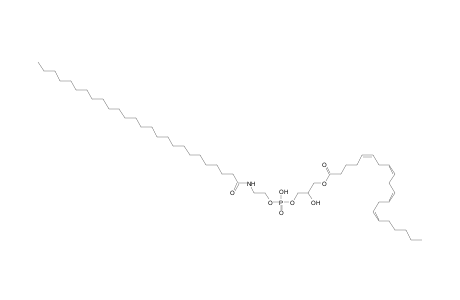 LNAPE 20:4/N-26:0
