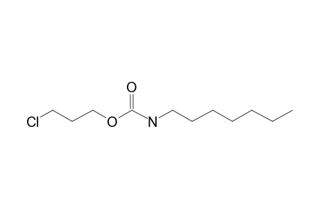 Carbonic acid, monoamide, N-heptyl-, 3-chloropropyl ester