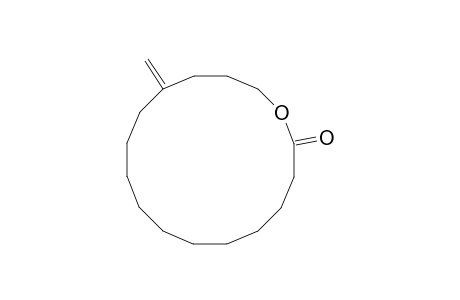 13-Methylene-oxacyclohexadecan-2-one