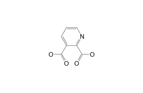 2,3-Pyridinedicarboxylic acid