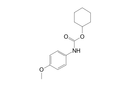 p-methoxycarbanilic acid, cyclohexyl ester