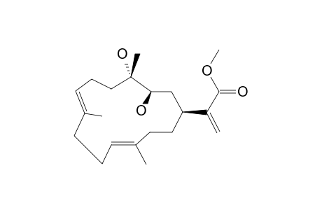 SINUFLEXIBILIN-C