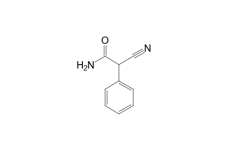 2-CYANO-2-PHENYLACETAMIDE