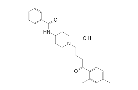 N-{1-[3-(2,4-dimethylbenzoyl)propyl]-4-piperidyl}benzamide, monohydrochloride