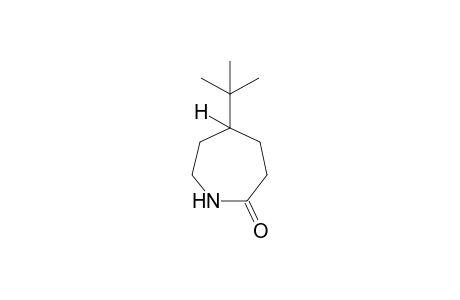 5-tert-butylhexahydro-2H-azepin-2-one