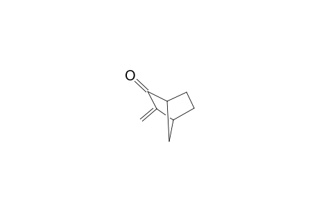 2-OXO-3-METHENYL-NORBORNANE