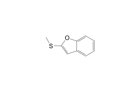 2-Methylsulfanylbenzofuran