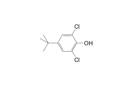 2,6-Dichloro-4-(1,1-dimethylethyl)phenol