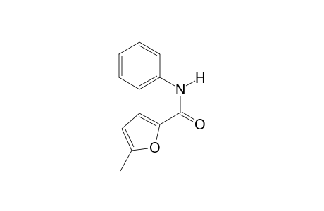 5-Methyl-N-phenylfuran-2-carboxamide