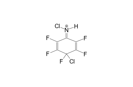 1-CHLORO-4-CHLOROIMINOPENTAFLUORO-2,5-CYCLOHEXADIENE, PROTONATED