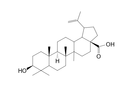 Lup-20(29)-en-28-oic acid, 3-hydroxy-, (3.beta.)-