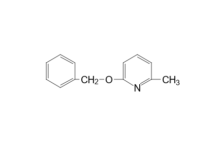 6-(benzyloxy)-2-picoline
