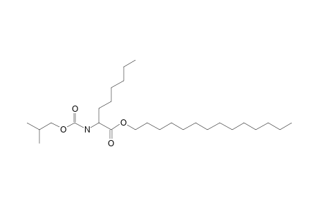 2-Aminocaprylic acid, N-isobutoxycarbonyl-, tetradecyl ester