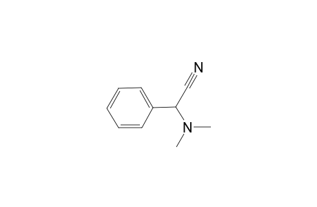 N,N-dimethyl-2-phenylglycinonitrile