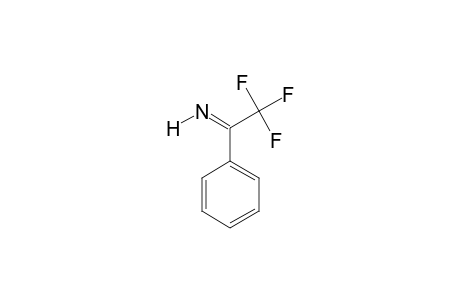 (E)-1-(2,2,2-TRIFLUORO)-1-PHENYLETHYL-IMINE;MINOR-ISOMER