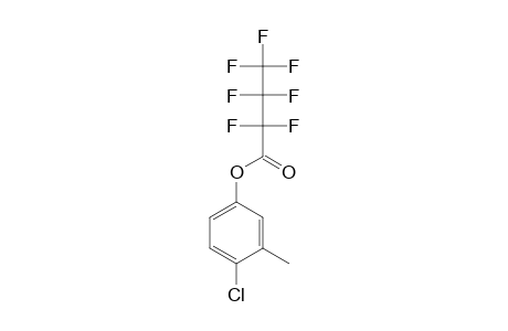 4-Chloro-3-methylphenol, heptafluorobutyrate