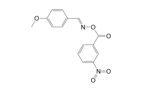 Benzaldehyde, 4-methoxy-, 3-nitrobenzoyloxime