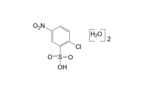 2-chloro-5-nitrobenzenesulfonic acid, dihydrate