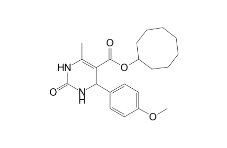 Cyclooctyl 3,4-dihydro-4-(4-methoxyphenyl)-6-methyl-2(1H)-oxopyrimidine-5-carboxylate