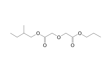 Diglycolic acid, 2-methylbutyl propyl ester