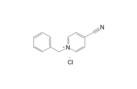 1-benzyl-4-cyanopyridinium chloride