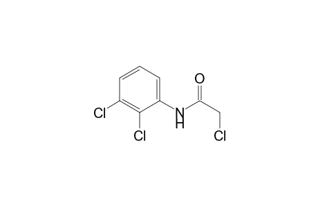 2-chloro-N-(2,3-dichlorophenyl)acetamide