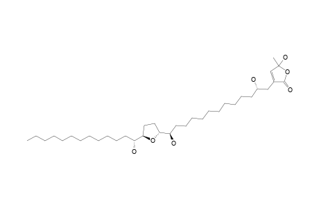 34-EPI-DONNAIENIN